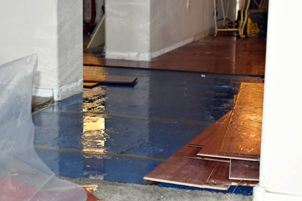 Professional Basement Flood Cleanup technician working in Ida, MI