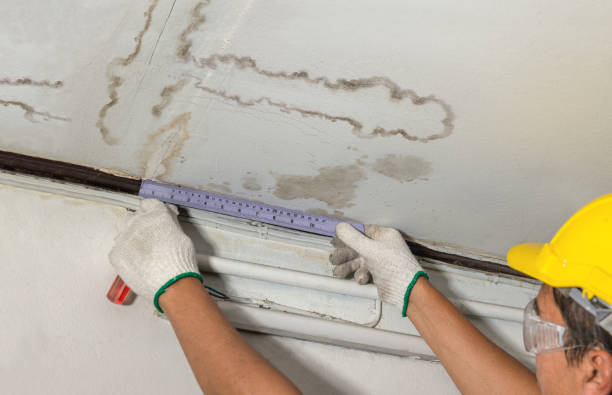 Reliable Basement Flood Cleanup contractor in Ida, MI by Aqua Guard Water Damage